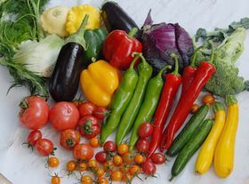 果蔬呼吸測定儀有什么作用？